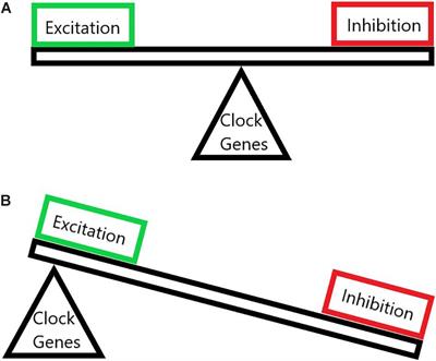 Systems and Circuits Linking Chronic Pain and Circadian Rhythms